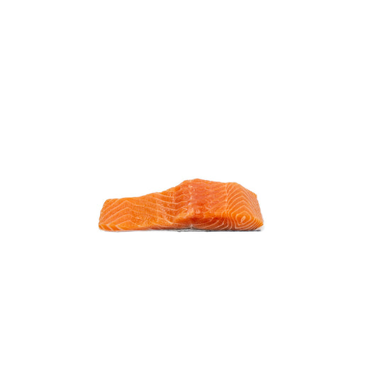 Salmon