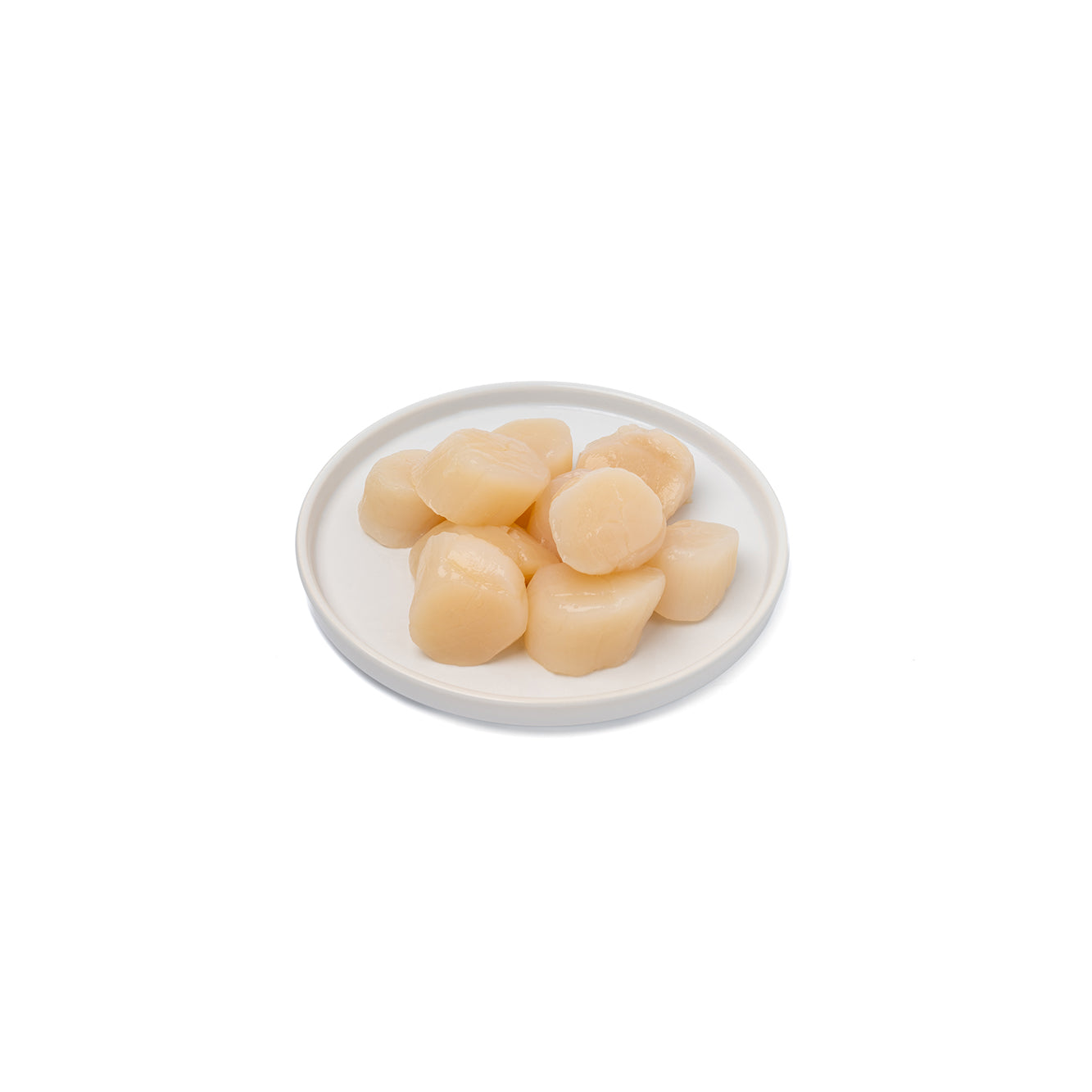 Scallops