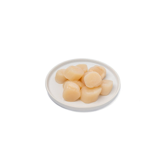 Scallops
