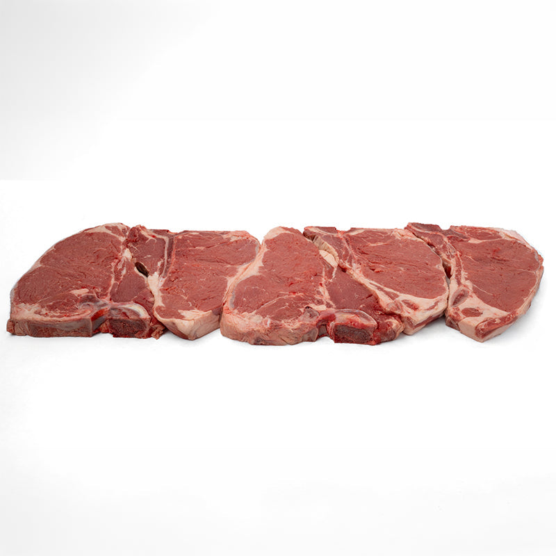 T-Bone Family Pack