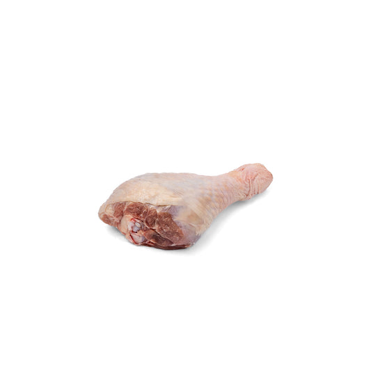 Turkey - Drums